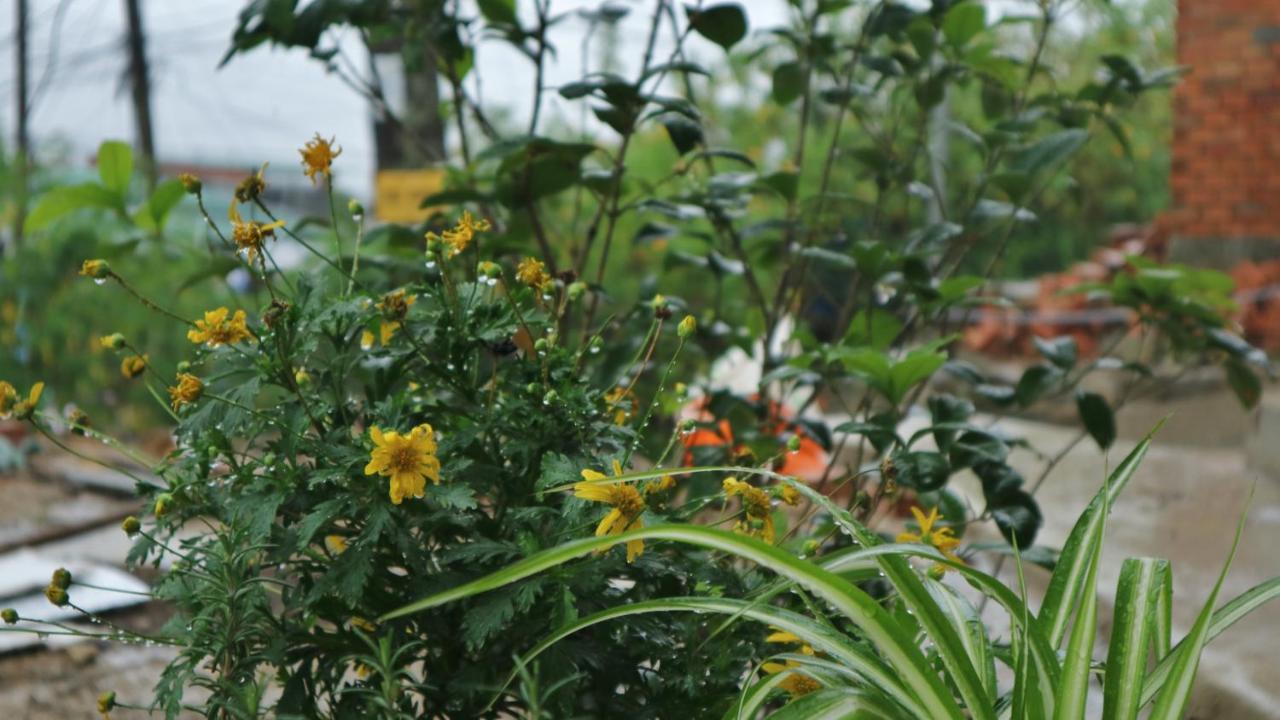 Komori House Bed and Breakfast Dalat Exterior foto